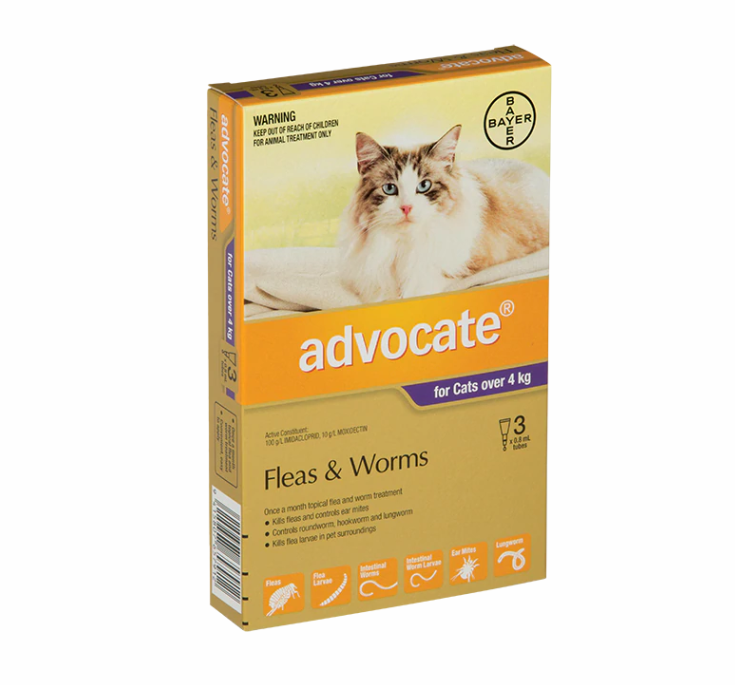 ADVOCATEFORCAT side
