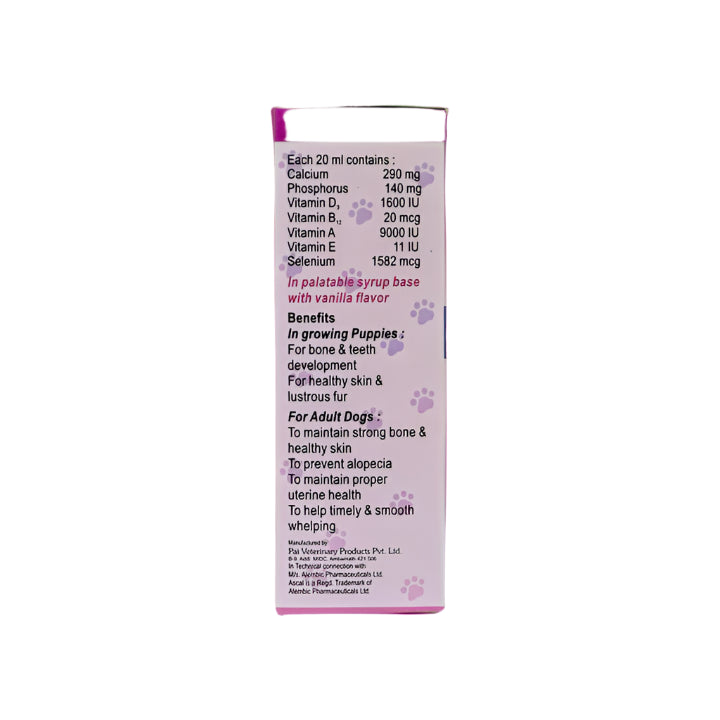 ASCAL PET SUPPLEMENT FOR CATS AND DOGS 300 ML BACK