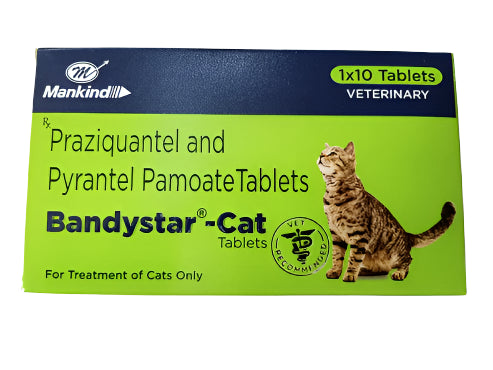 BANDYSTAR CAT 10 TAB