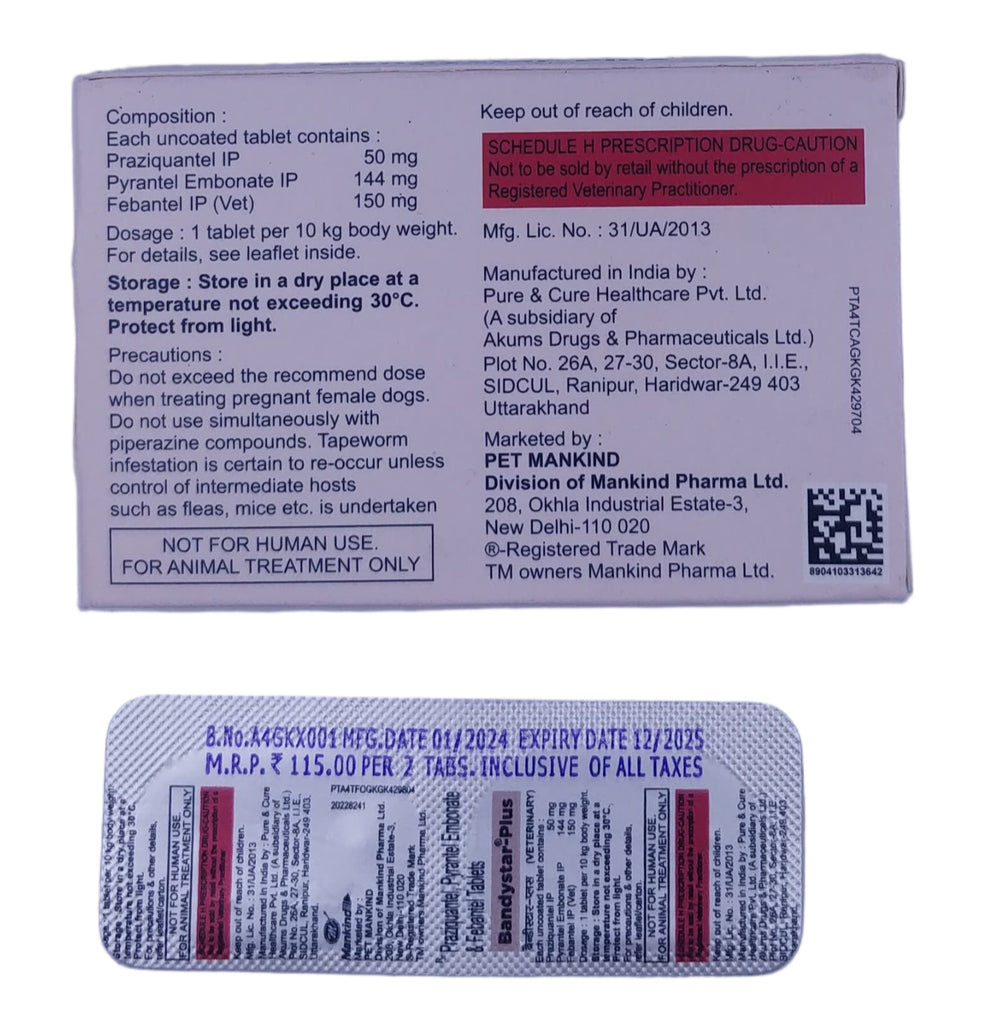 BANDYSTAR PLUS  2TABS BACK