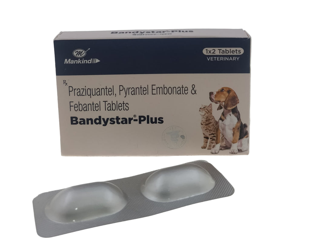 BANDYSTAR PLUS  2TABS FRONT 