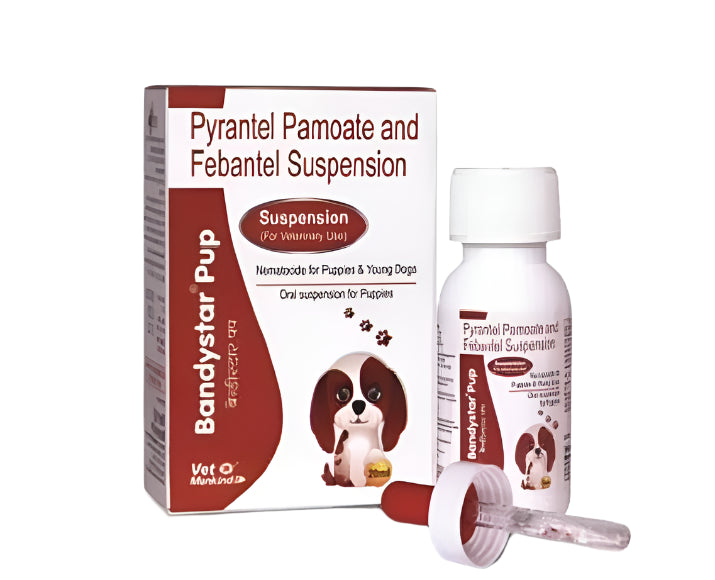 BANDYSTAR PUP SUSP 20ML