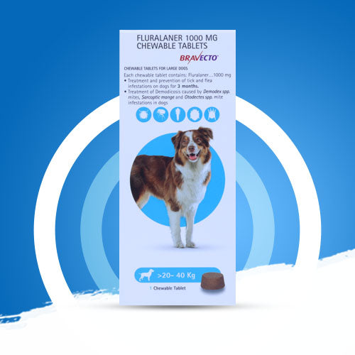 BRAVECTO_1000MG_20-40KG_
