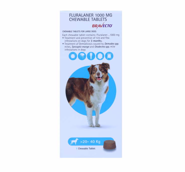 BRAVECTO 1000MG 20-40KG FRONT