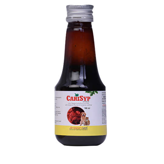 CARISYP 100ML FRONT 