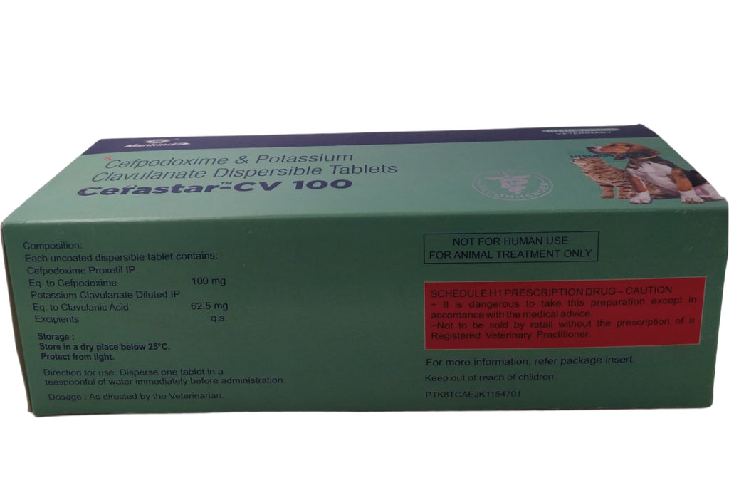 CEFASTAR-CV FOR CATS AND DOGS  100MG BACK
