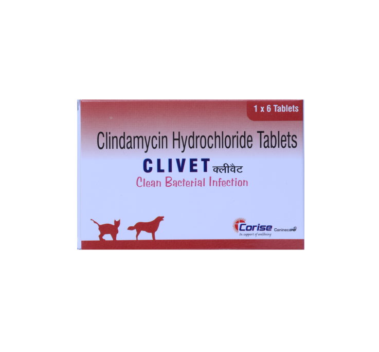 CLIVET 300MG