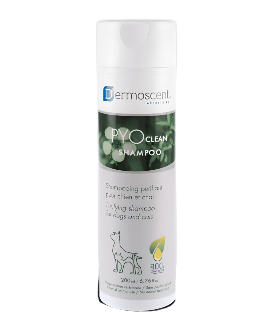 CUTIES PYO CLEAN SHAMPOO CHIEN
