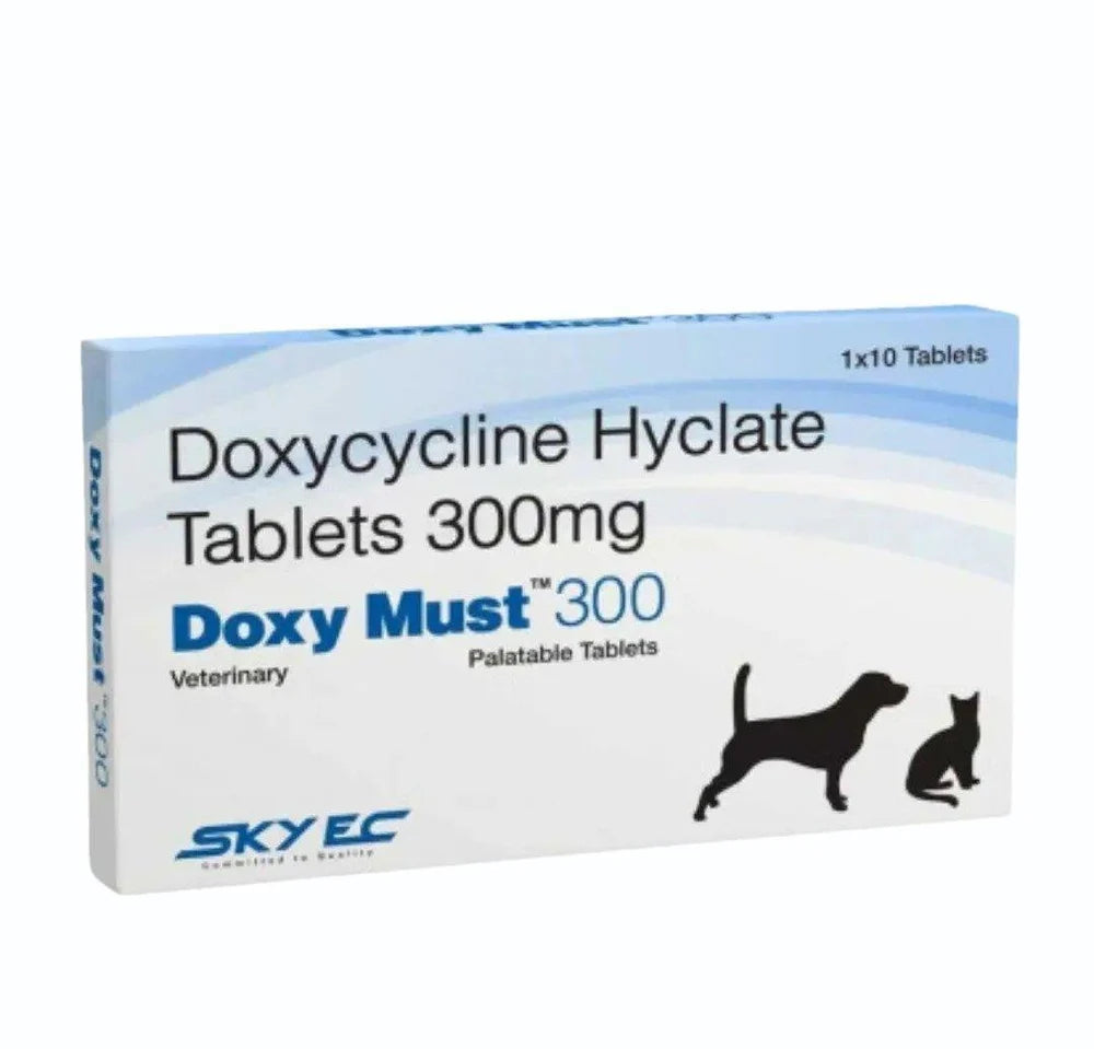 DOXY MUST 300MG