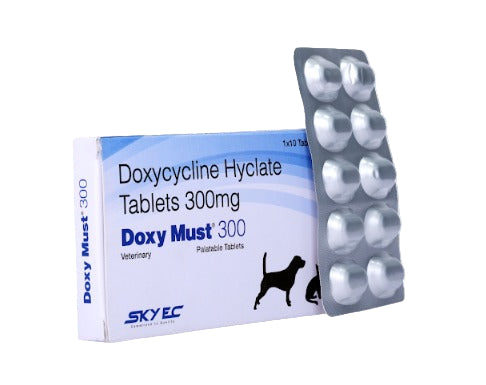 DOXY MUST 300MG front 