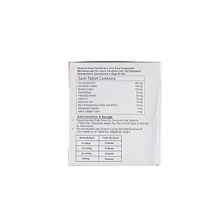 GERISURE_FORTE_TAB_BACK
