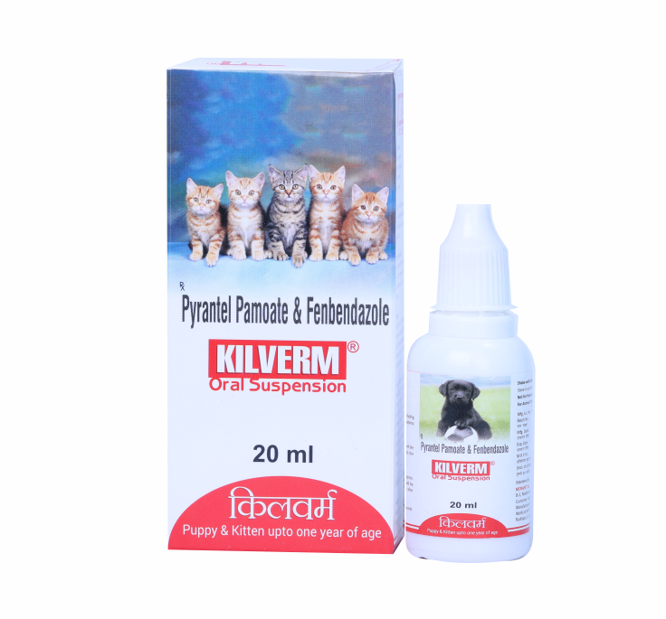 KIL VERM ORAL SUSPENSION 20 ML