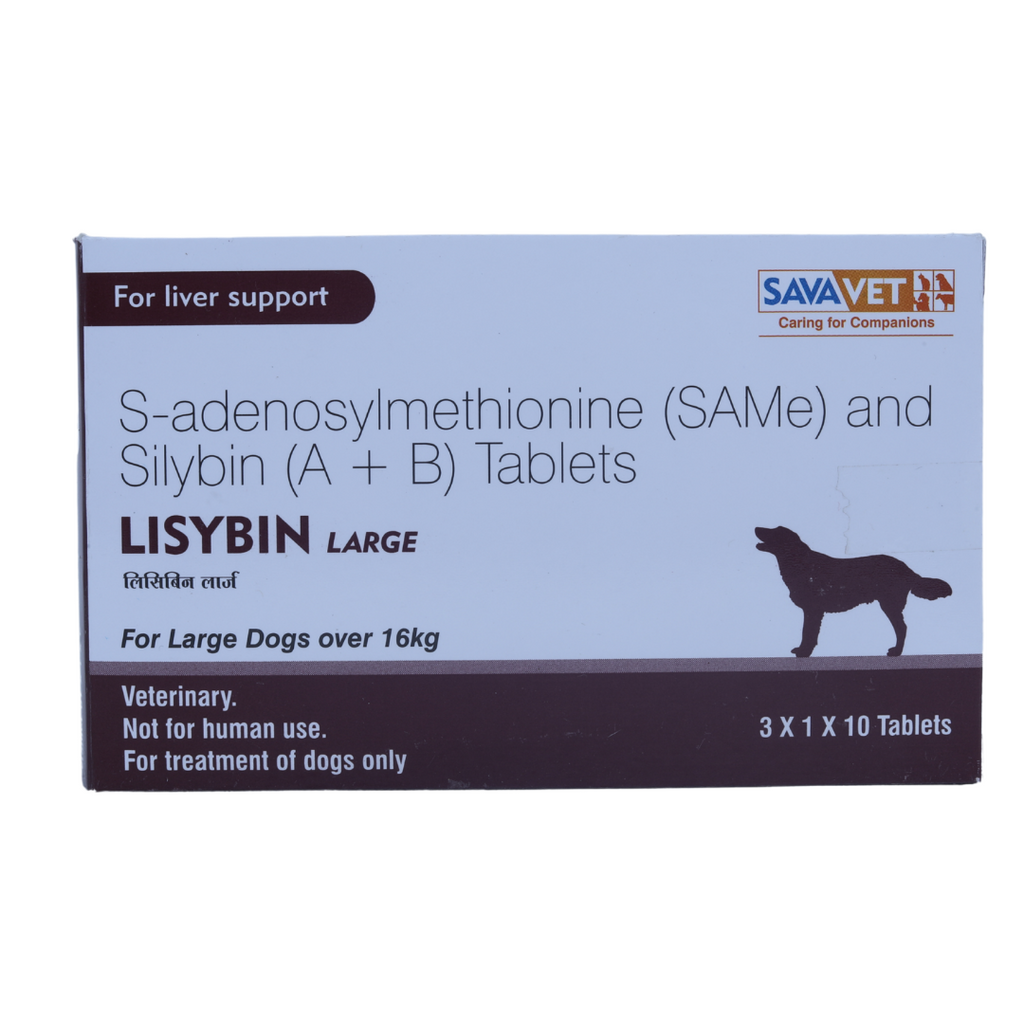LISYBIN  LARGE TABS