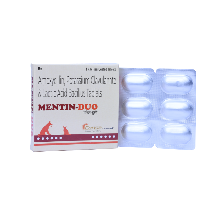 MENTIN-DUO 6 TABLETS side