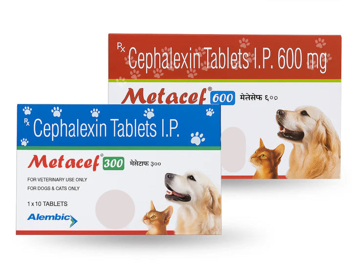 METACEF  ANTIBIOTIC TABLETS FOR CAT & DOGS
