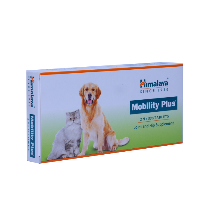 MOBILITY PLUS front