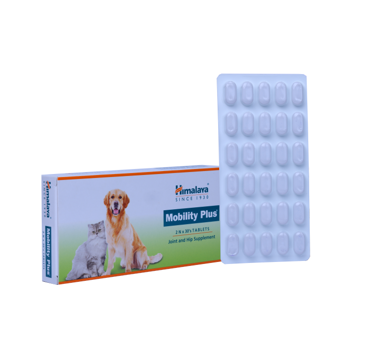 MOBILITY PLUS inside front