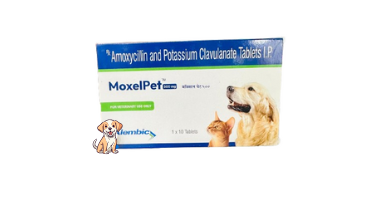 MOXELPET TABLETS