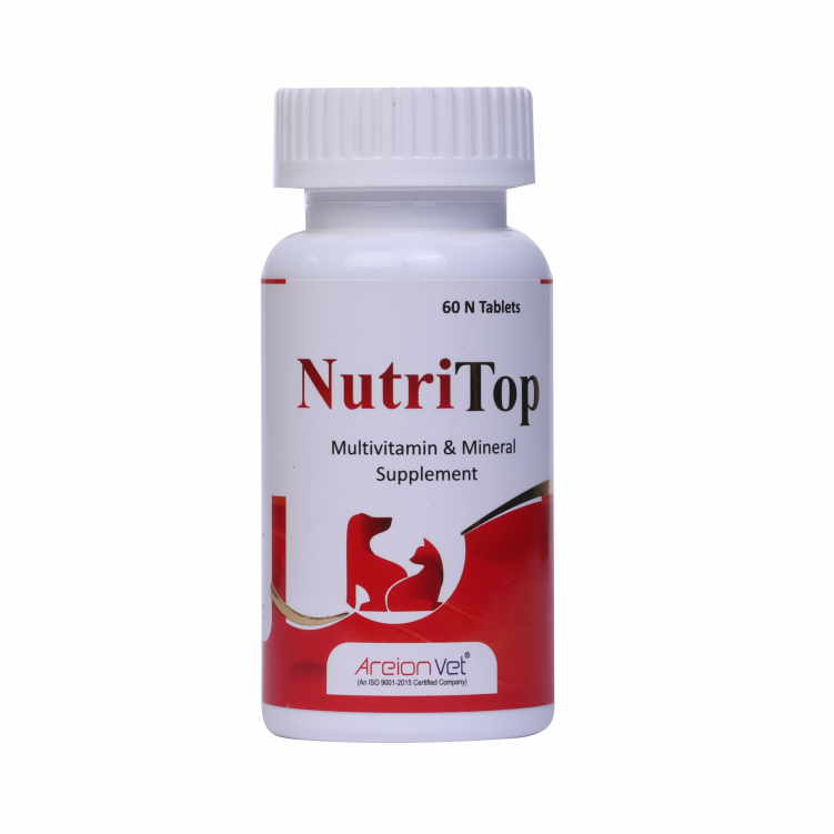 NUTRITOP 60TAB FRONT 