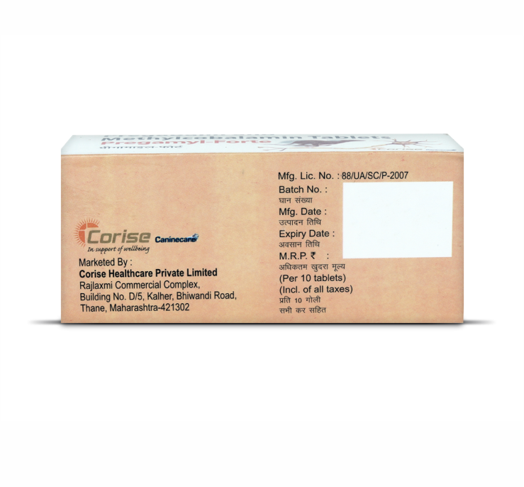 PREGAMYL FORTE 1-10 SIDE