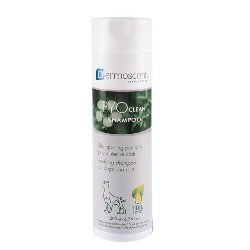 PYO CLEAN SHAMPOO 200 ML