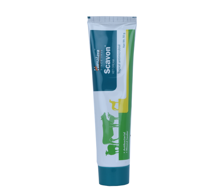 SCAVON VET CREAM  50G