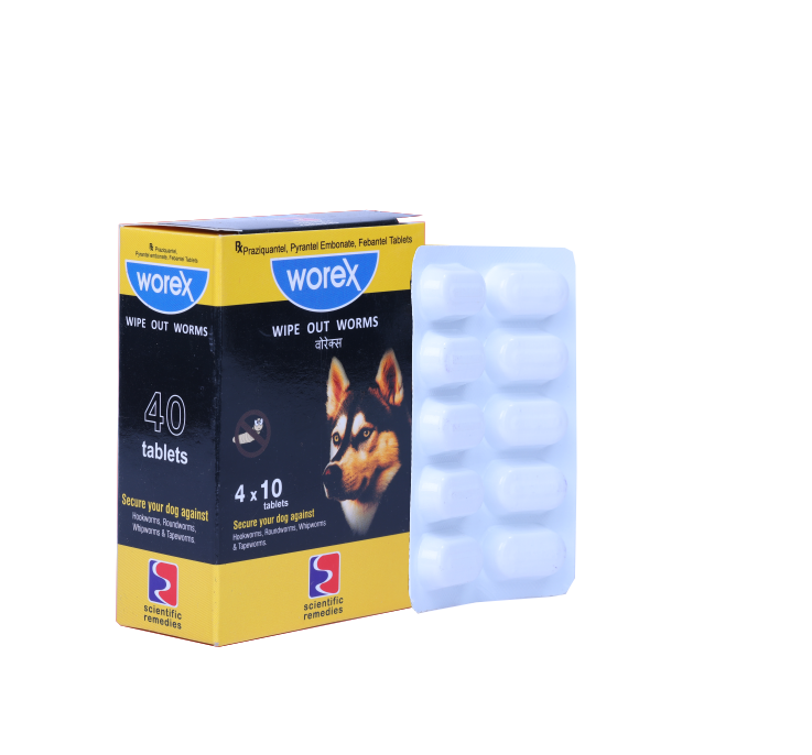 WOREX TABLET 410S 1 BOX SIDE